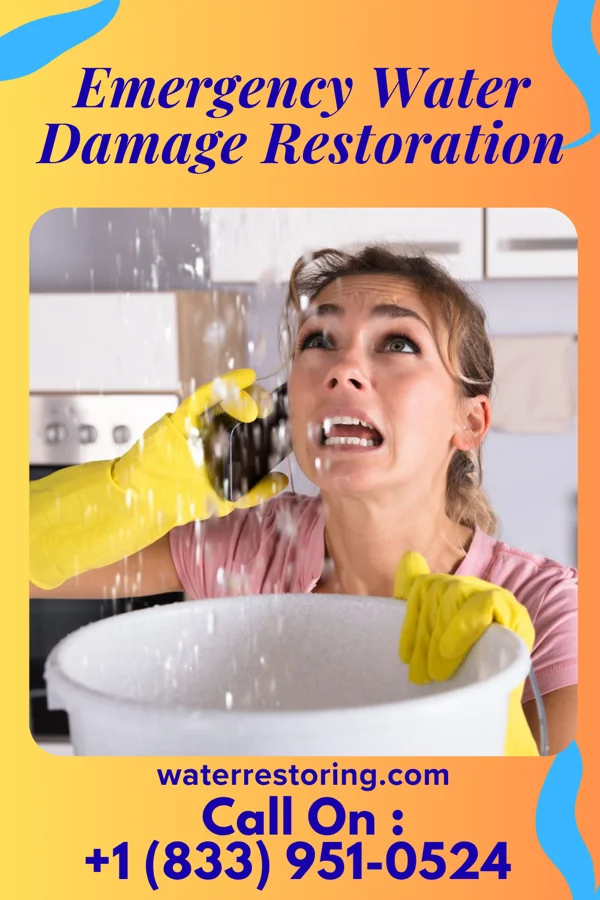 Emergency Water Damage Restoration in Josephine, TX