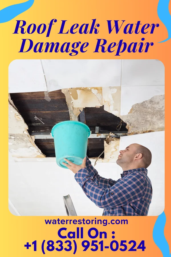 Roof Leak Water Damage Repair in Josephine, TX