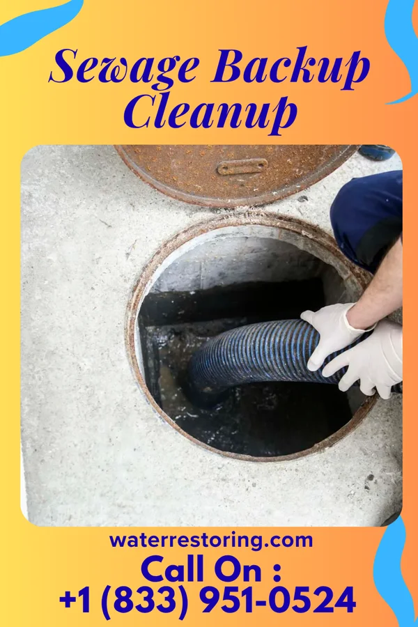 Sewage Backup Cleanup in Josephine, TX